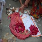 Vraj-Yatra-2014- (1899)